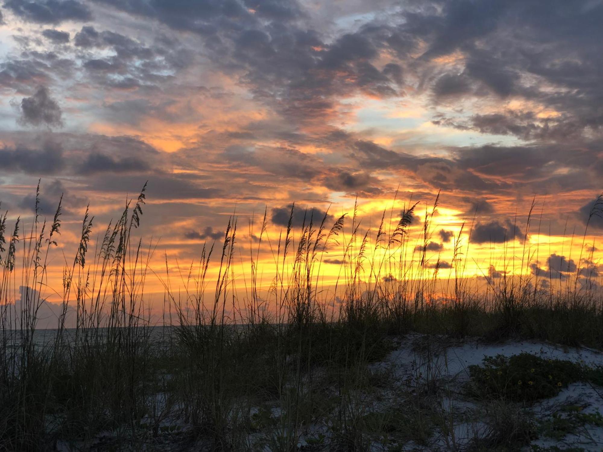 Summer Breeze - Weekly Beach Rental Clearwater Beach Exterior foto